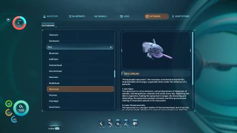 Epicurean Databank in Subnautica 2