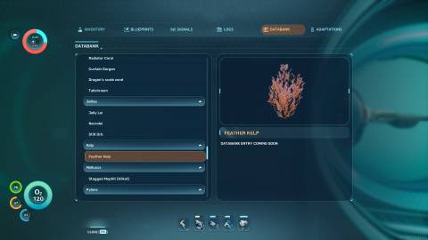Feather Kelp Databank in Subnautica 2