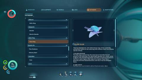Flash Slug Databank in Subnautica 2