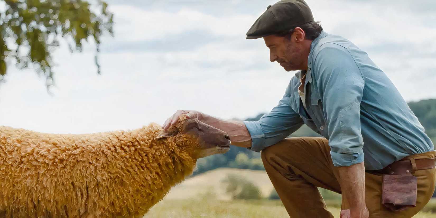 George Hardy di dalam film The Sheep Detectives