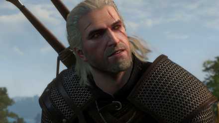 Geralt looking up in The Witcher 3 Wild Hunt