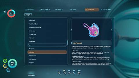 Halfmoon Databank in Subnautica 2