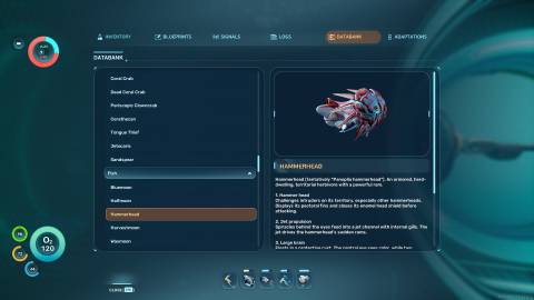 Hammerhead Databank in Subnautica 2