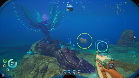 Hammerhead in Subnautica 2