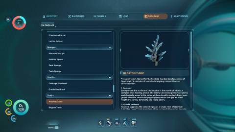 Hecaton Tunic Databank in Subnautica 2