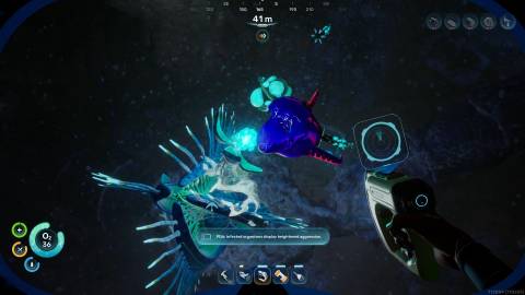 Hostile Fish around Gene Donor in Subnautica 2