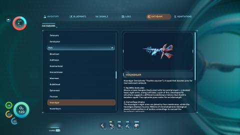 Houndgar Databank in Subnautica 2