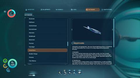 Hoverthorn Databank in Subnautica 2