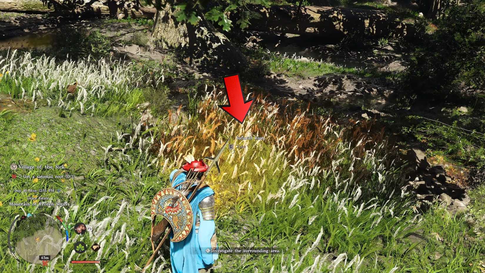 How to Get Satintail Root in Crimson Desert (Village of the Sick)