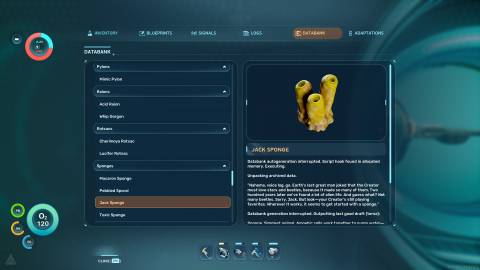 Jack Sponge Databank in Subnautica 2