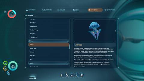 Jellies Databank in Subnautica 2
