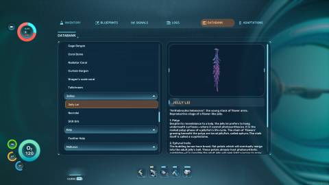 Jelly Lei Databank in Subnautica 2