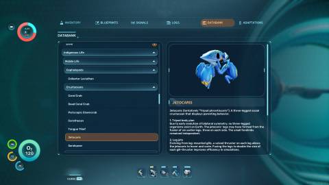 Jetocaris Databank in Subnautica 2