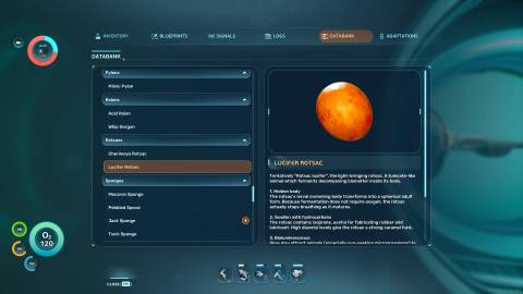 Lucifer Rotsac Databank in Subnautica 2