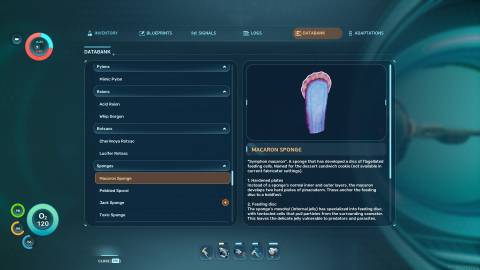 Macaron Sponge Databank in Subnautica 2