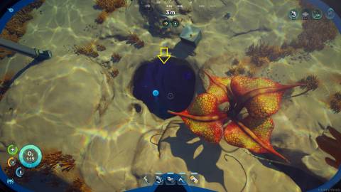 Medical Gel Sac path 2 - Subnautica 2