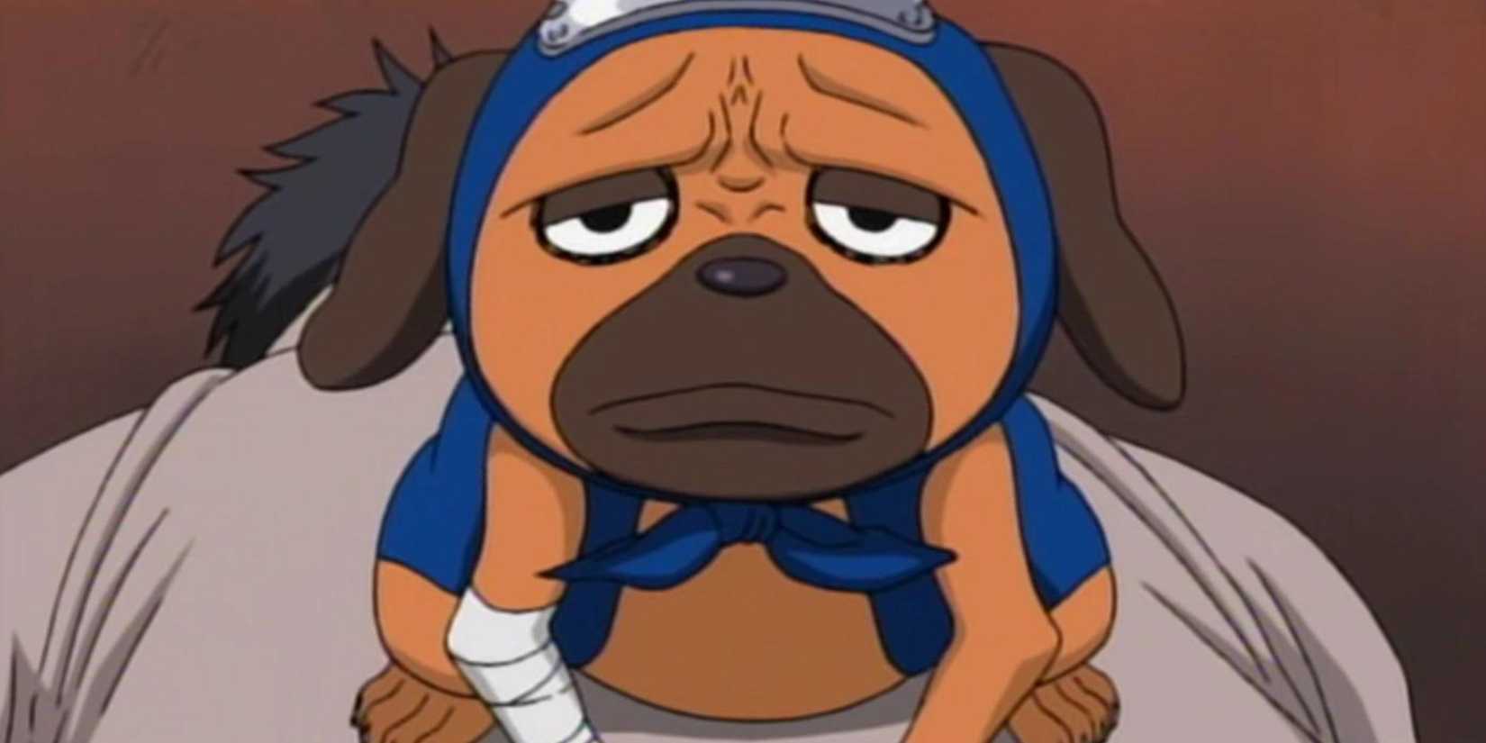 Pakkun is summoned by Kakashi during the Chunin Exams in Naruto.