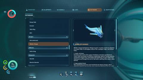Nibbler Mango Databank in Subnautica 2