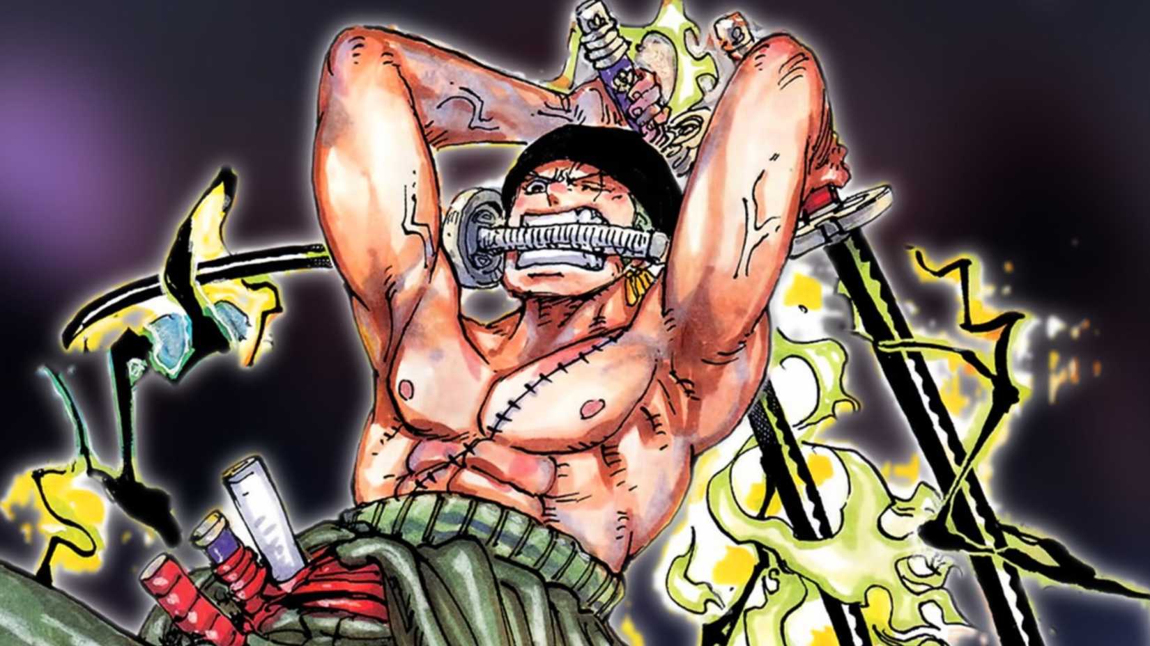 zoro new haki form one piece
