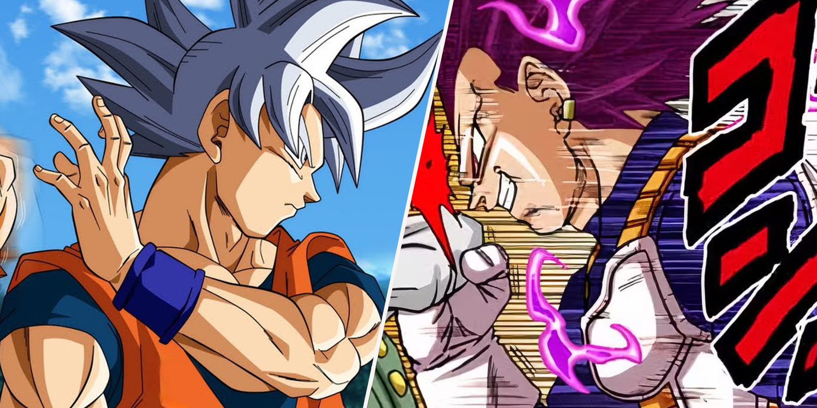 Perfect Ultra Instinct Goku and Ultra Ego Vegeta