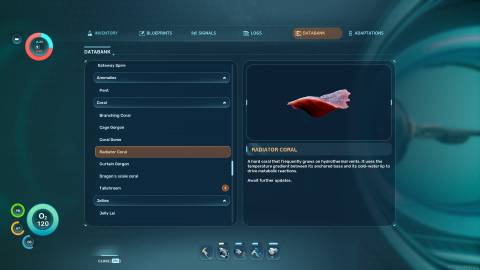 Radiator Coral Databank in Subnautica 2