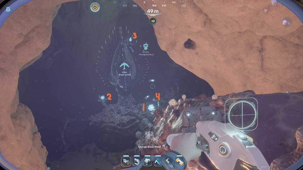 subnautica-2-angel-comb-puzzle-how-solve-what-do-get-adaptation - angel comb canker