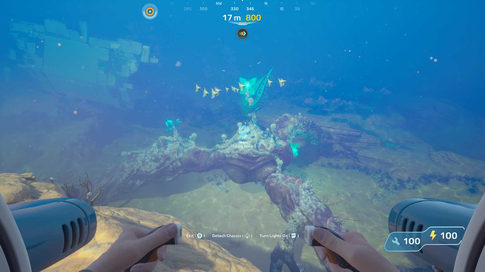 Angel Comb Guide In Subnautica 2