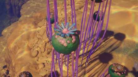 subnautica 2 necrolei cyst location (4)