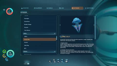 Surge Jelly Databank in Subnautica 2