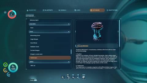 Tallshroom Databank in Subnautica 2