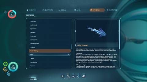 Twin Sitaray Databank in Subnautica 2