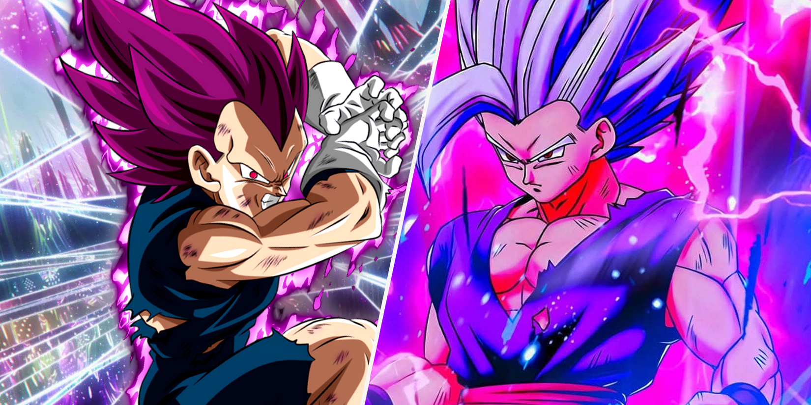 Ultra Ego Vegeta vs Gohan Beast