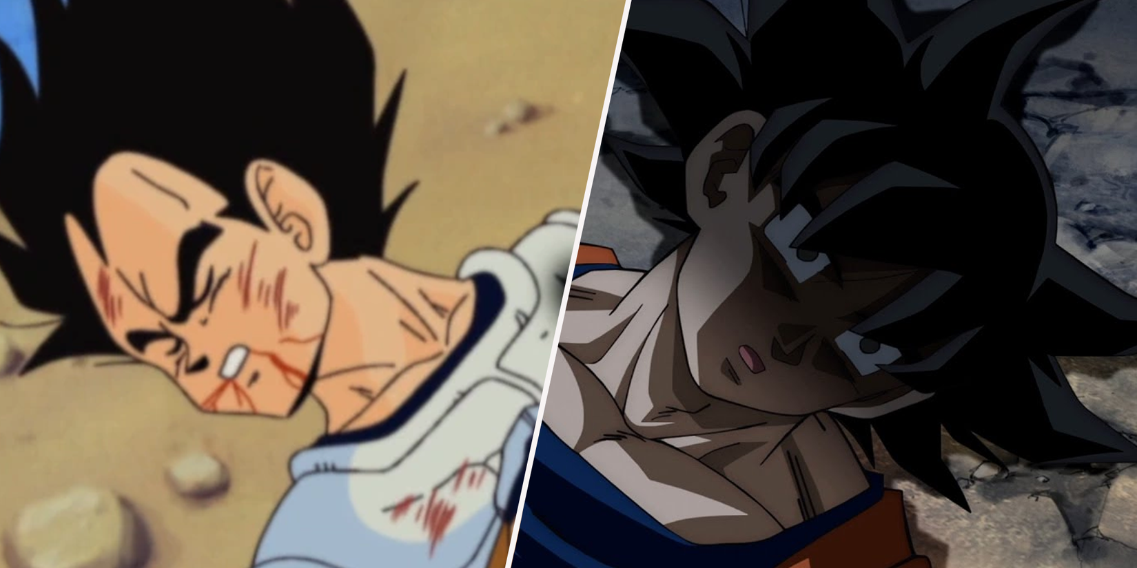 Vegeta and Goku are dead