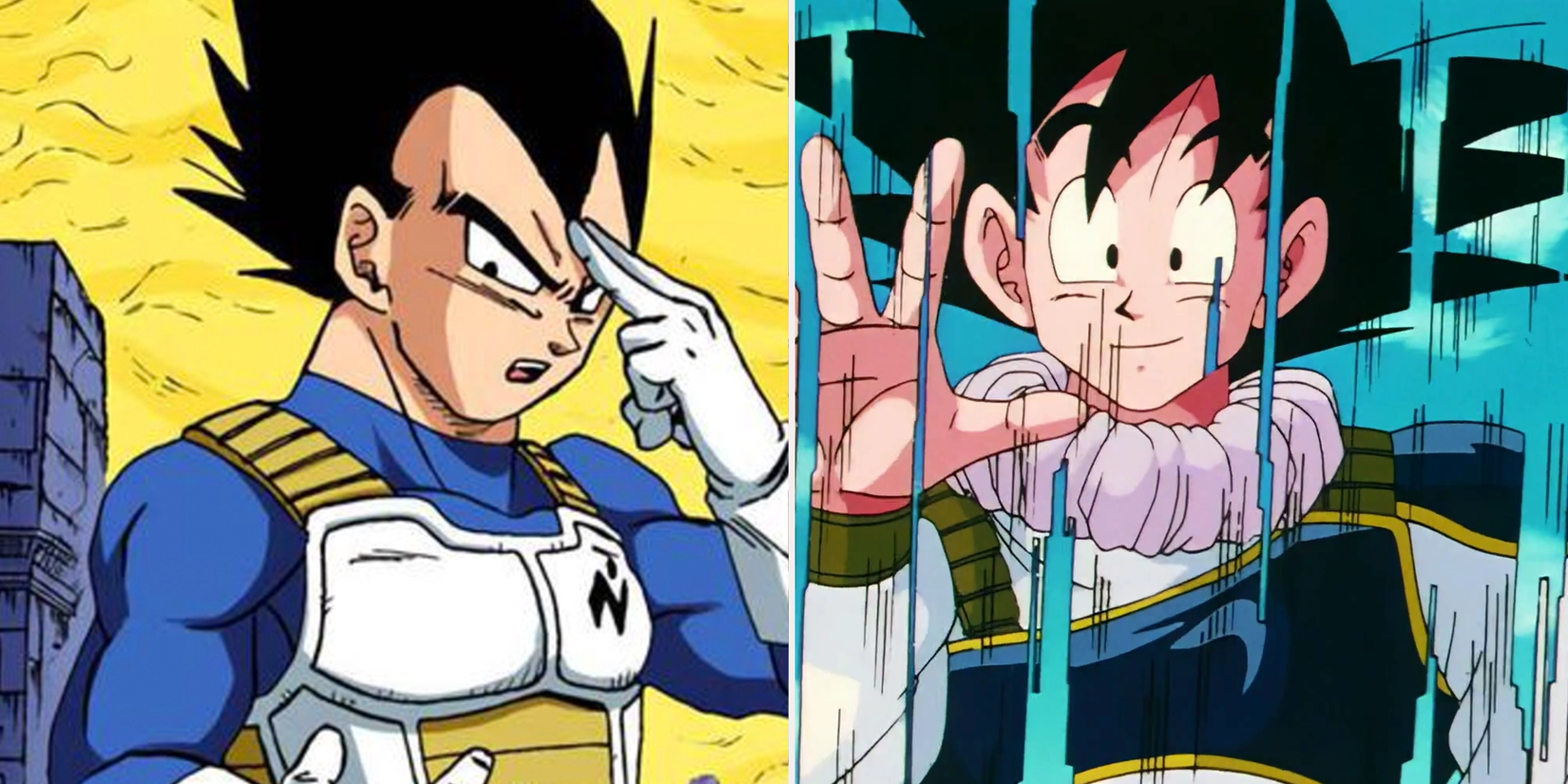 Vegeta and Goku use instant transmission