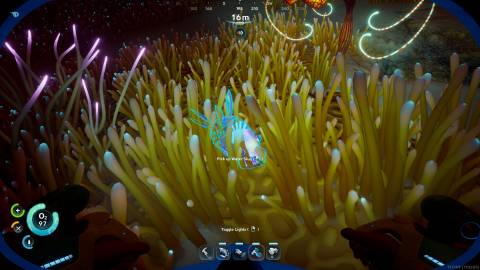 Water Slug in Subnautica 2-1