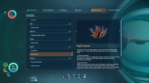 Whip Gorgon Databank in Subnautica 2