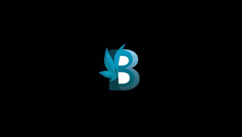 Basemental Beer by base