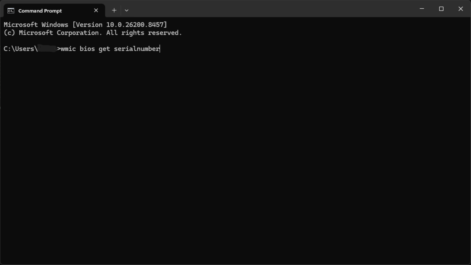 cmd find serial number-1
