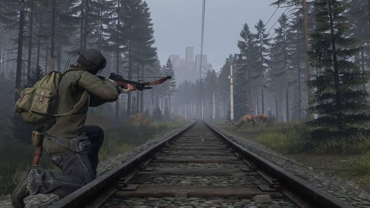 DayZ Press Image 9