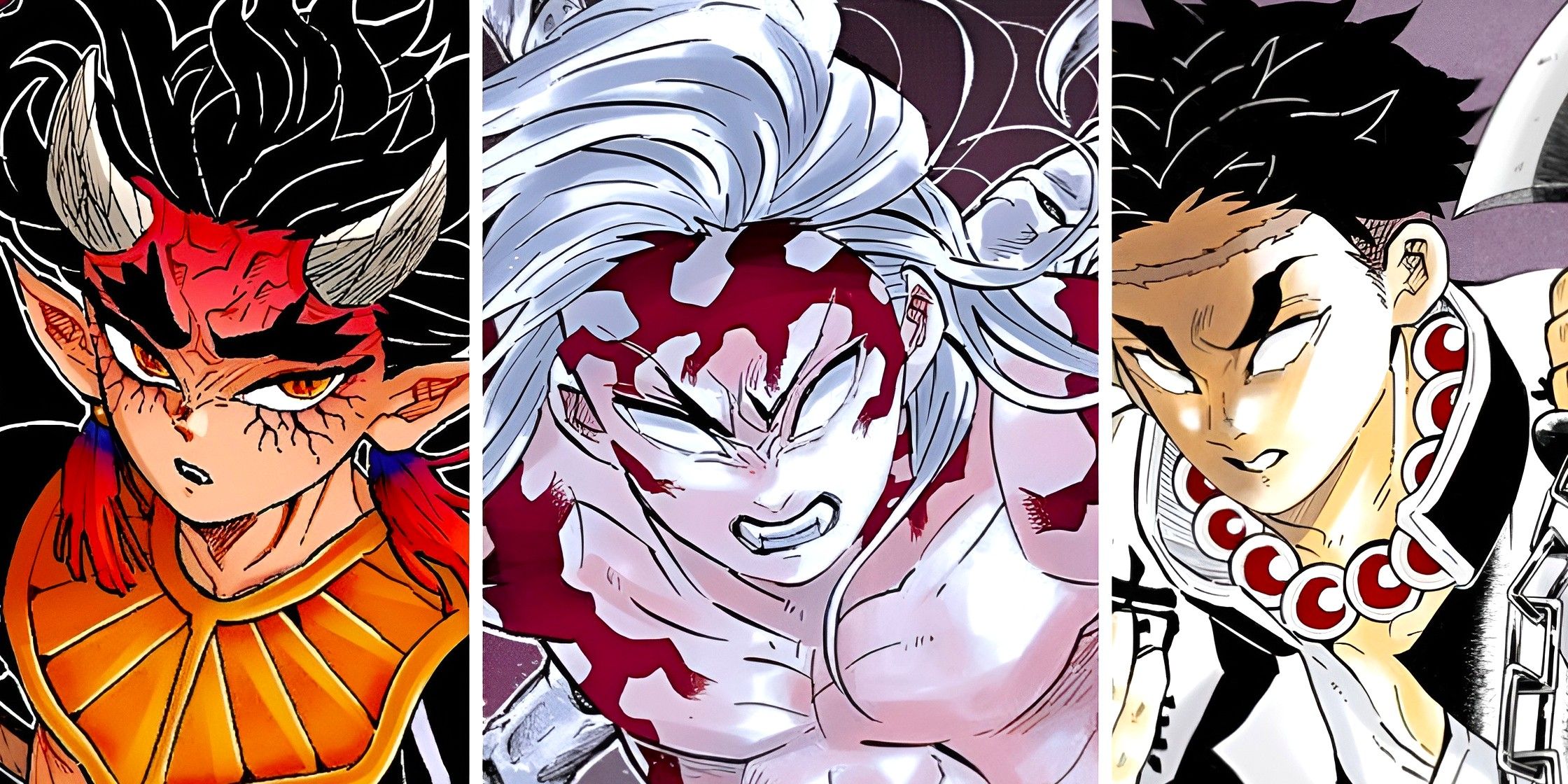 Demon slayer, the strongest swordsman