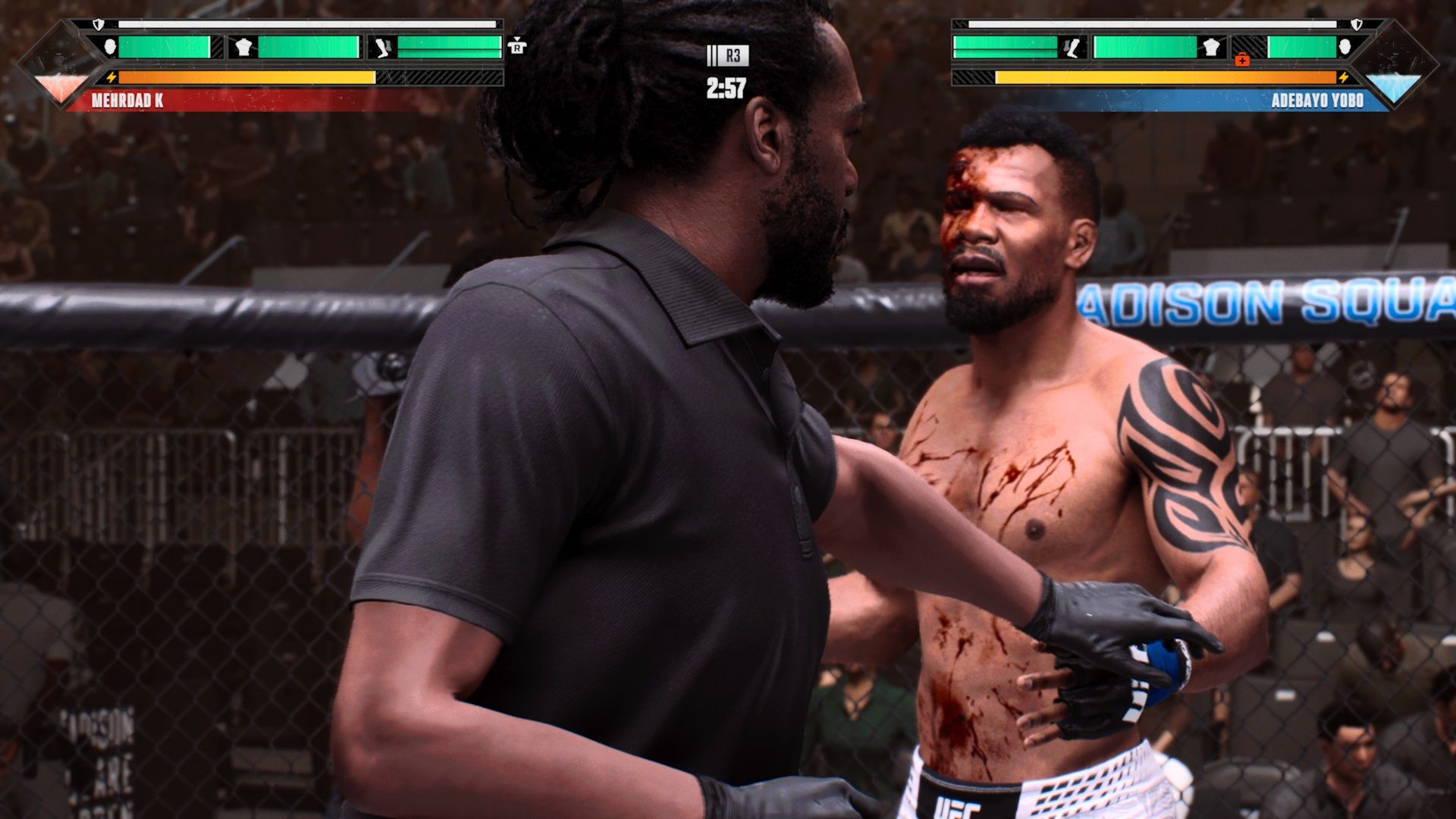 How to Trigger Doctor Stoppage in UFC 6