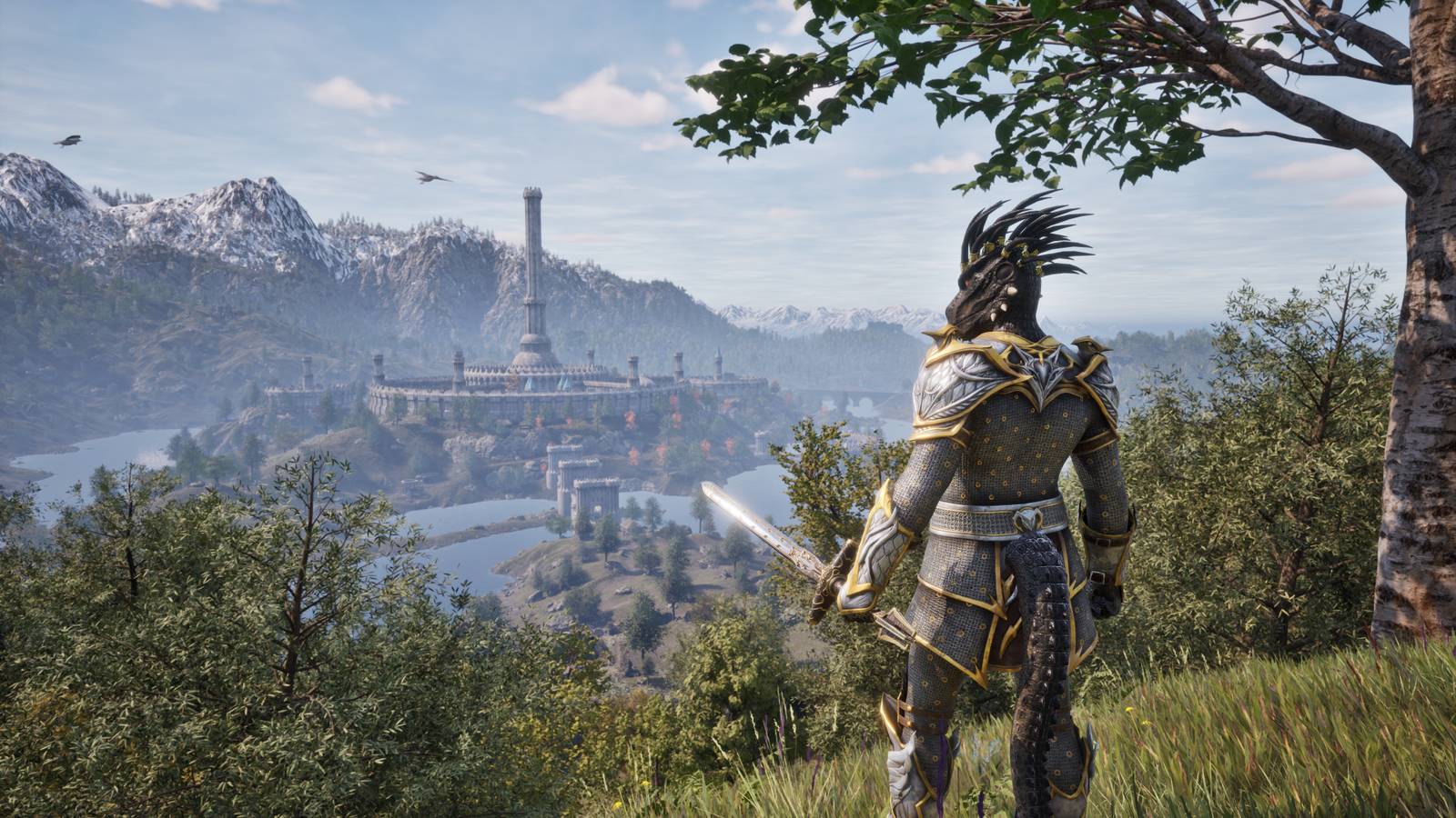 Bethesda Issues New Official Statement on The Elder Scrolls 6 Bethesda Issues New Official Statement on The Elder Scrolls 6