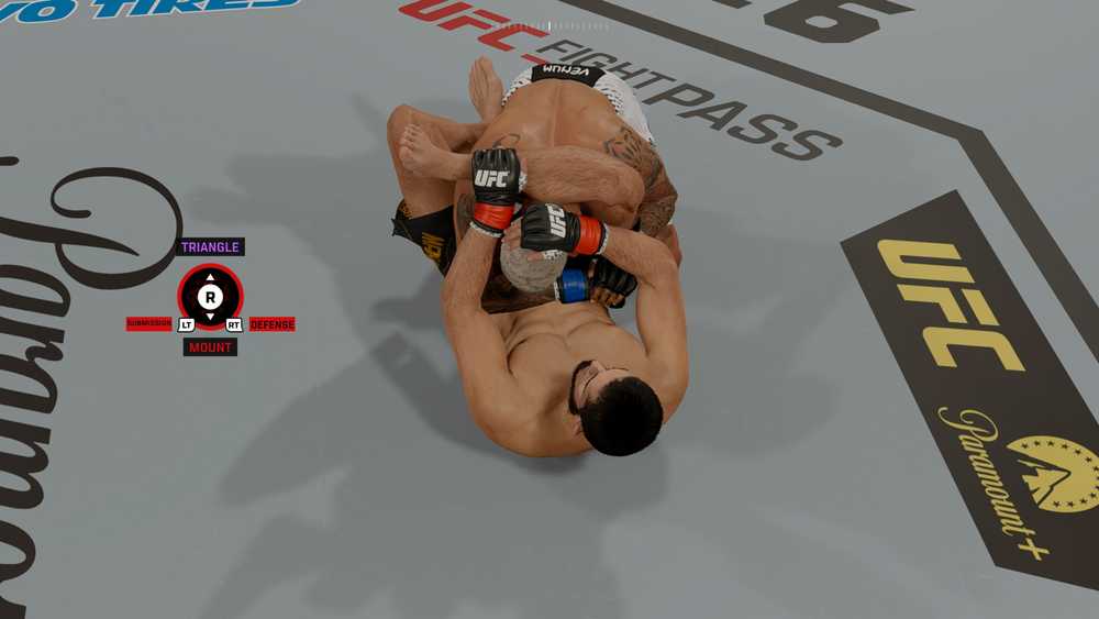 Flying Submission - UFC 6