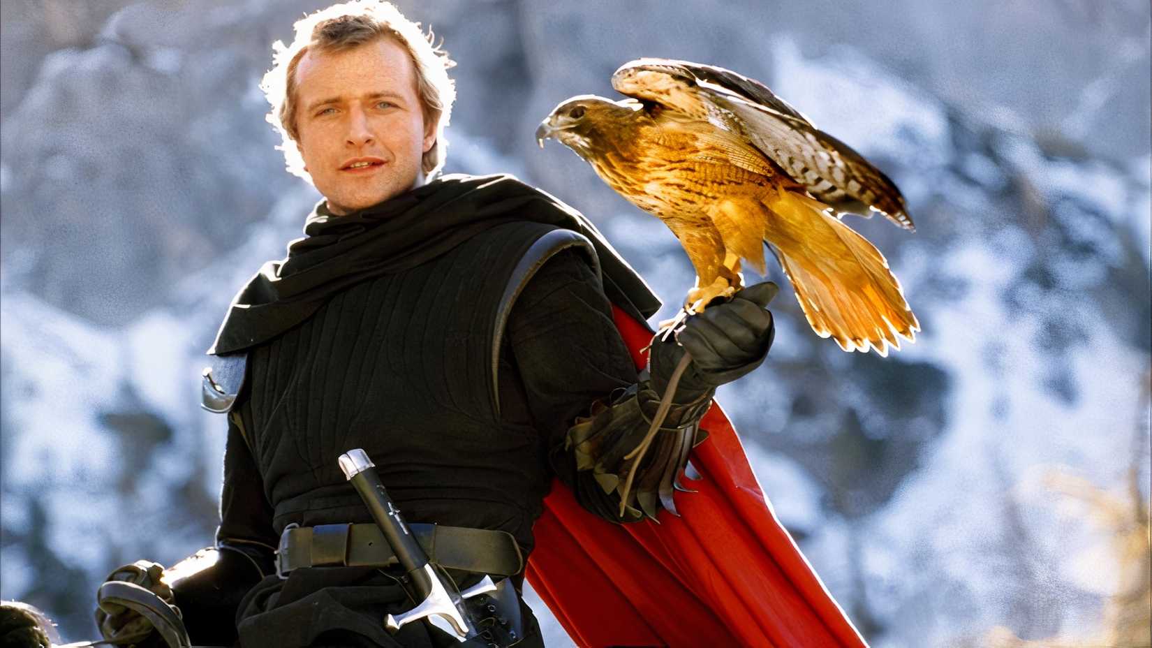 Etienne of Navarre at Ladyhawke