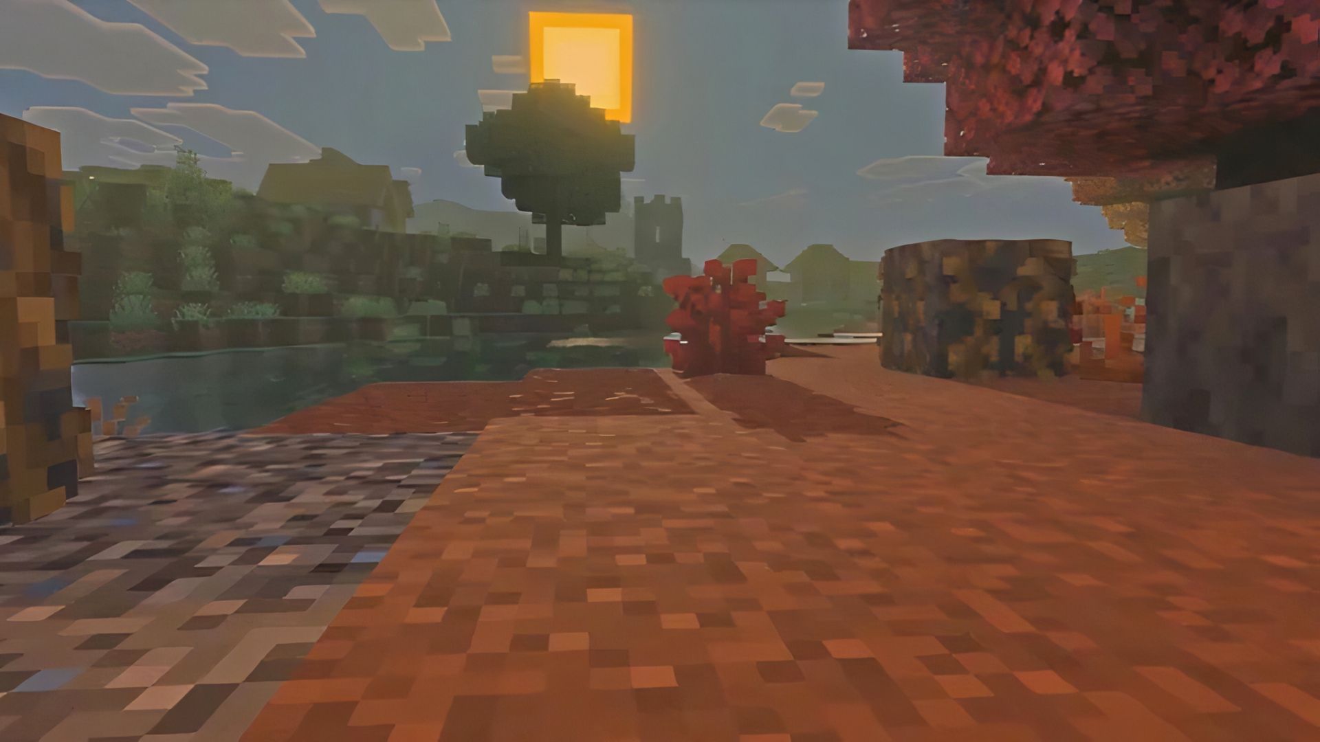 Minecraft-Dappled-Forest-2