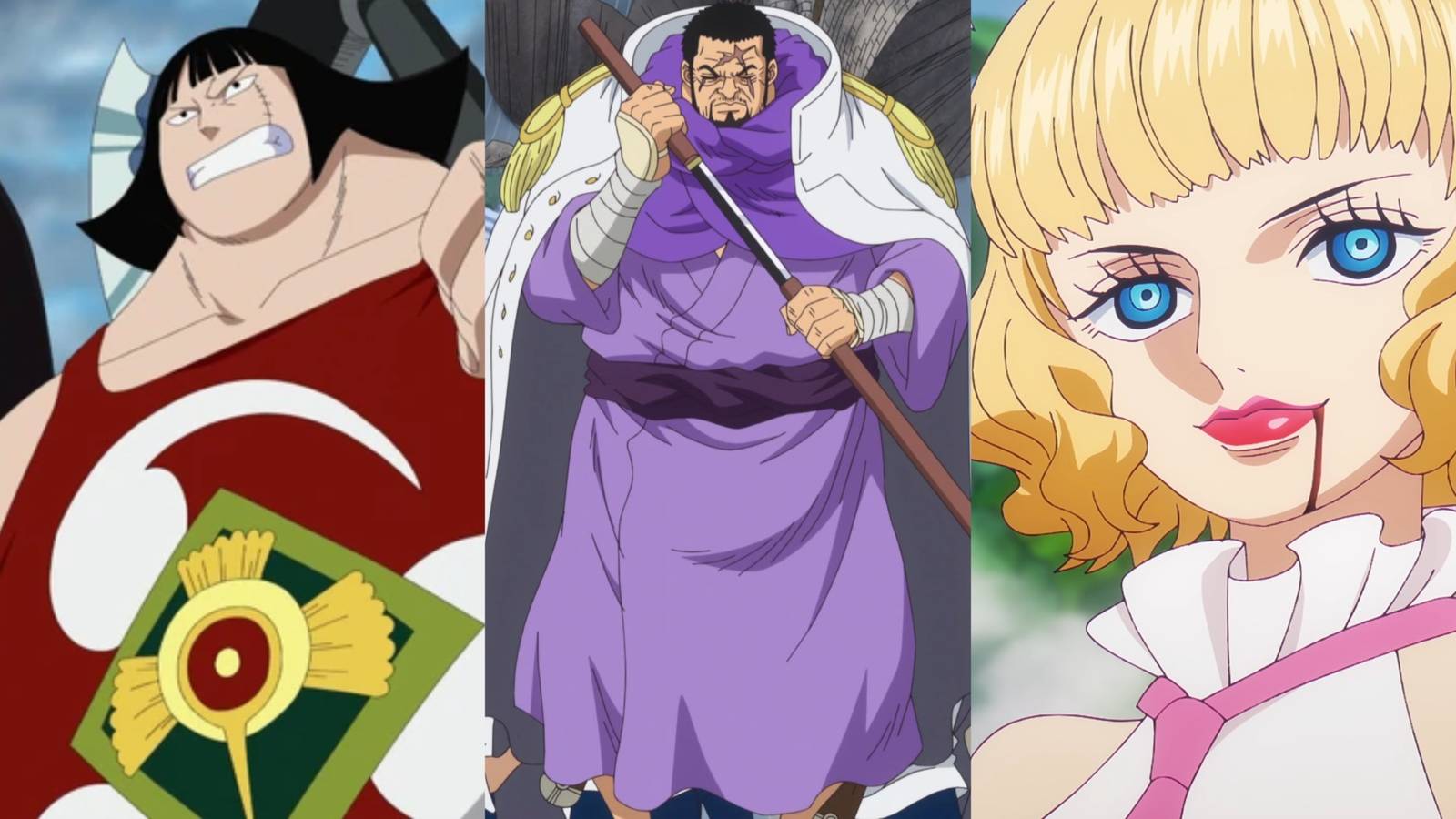 One Piece: 8 Strongest New Candidates For The Revolutionary Army, Ranked