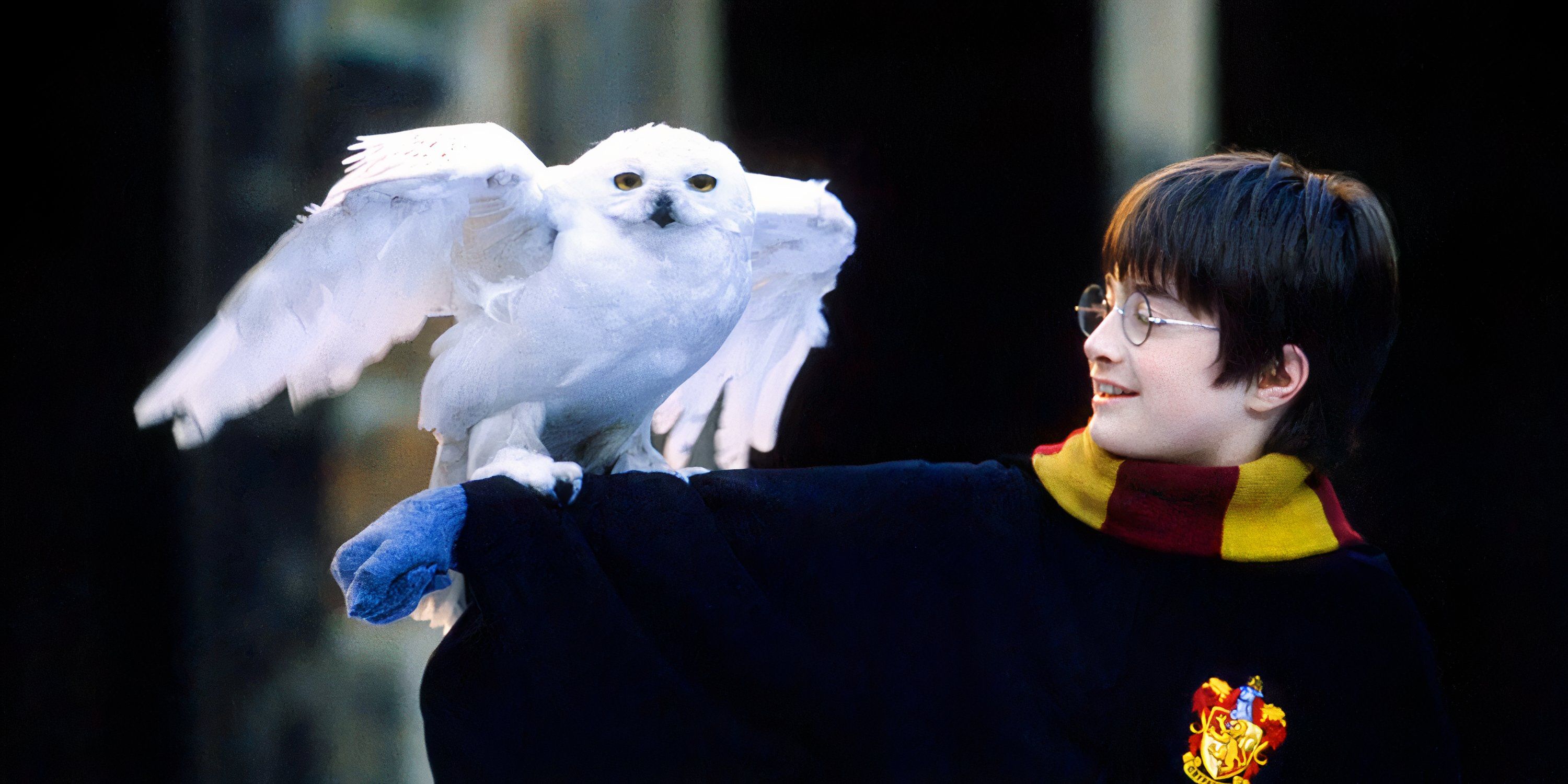 Harry Potter Did One Thing Better Than Every Fantasy Franchise Since