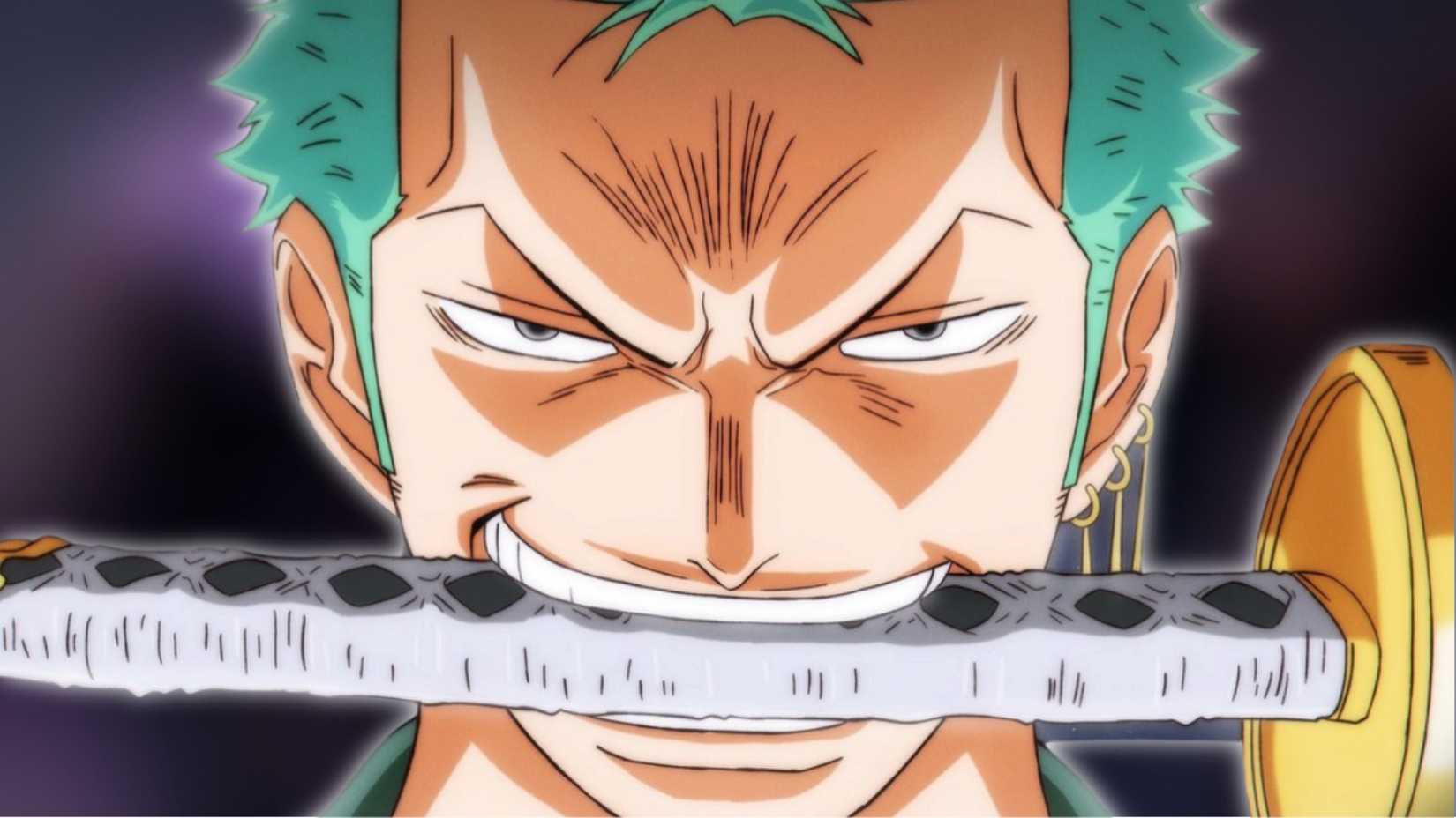 conqueror haki Roronoa Zoro one piece