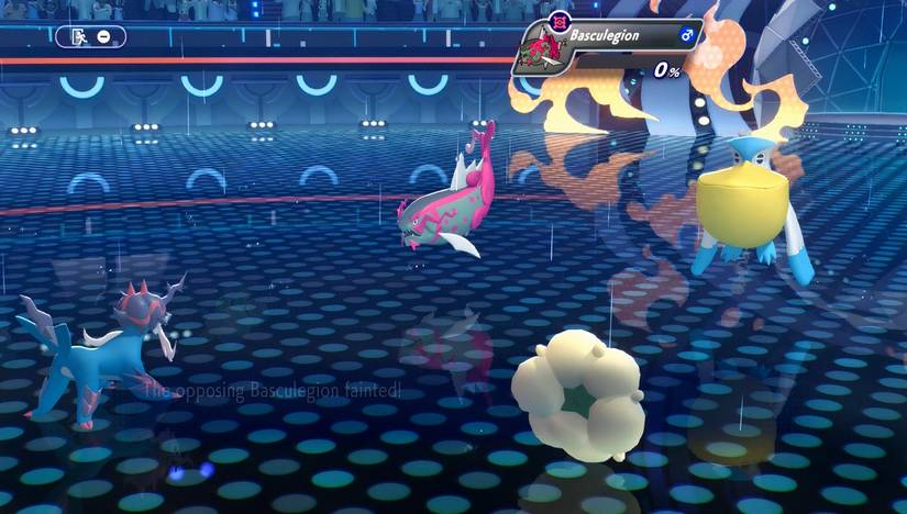 Pokemon Champions Pelipper
