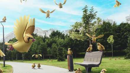 Pokemon GO Pidgins in a real-world park